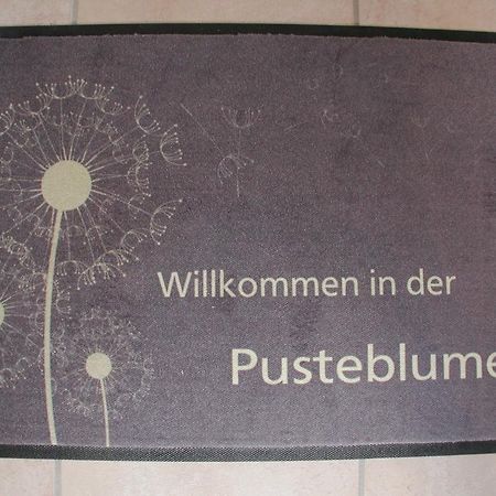 Ferienwohnung Pusteblume Cochem Kamer foto